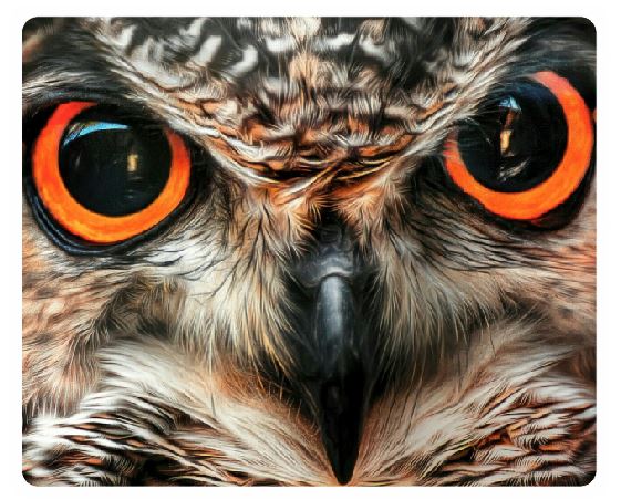 MP03 Owl Mouse Pad