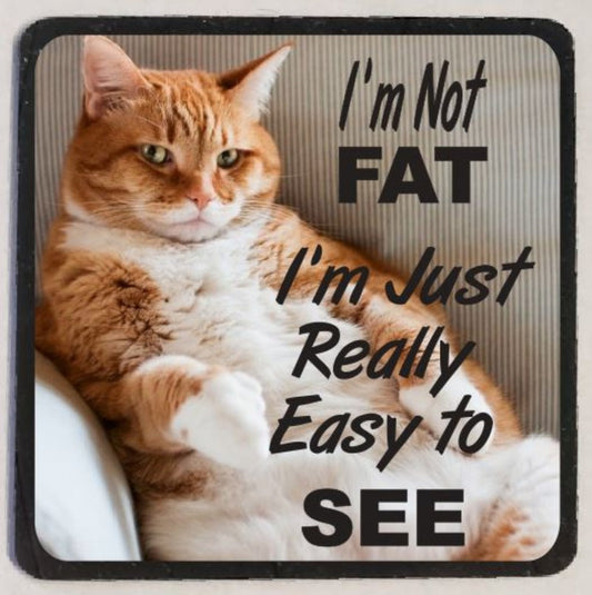 M15 Fat Cat - Iris Fashion Jewelry