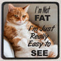 M15 Fat Cat - Iris Fashion Jewelry