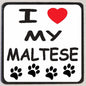 M135 I Love My Maltese - Iris Fashion Jewelry