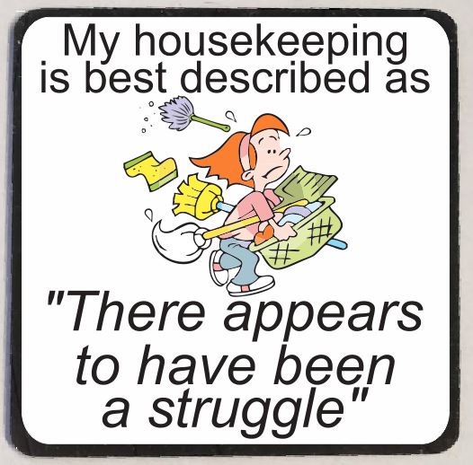 M163 Housekeeping Struggle Funny Magnet - Iris Fashion Jewelry
