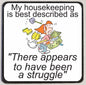 M163 Housekeeping Struggle Funny Magnet - Iris Fashion Jewelry