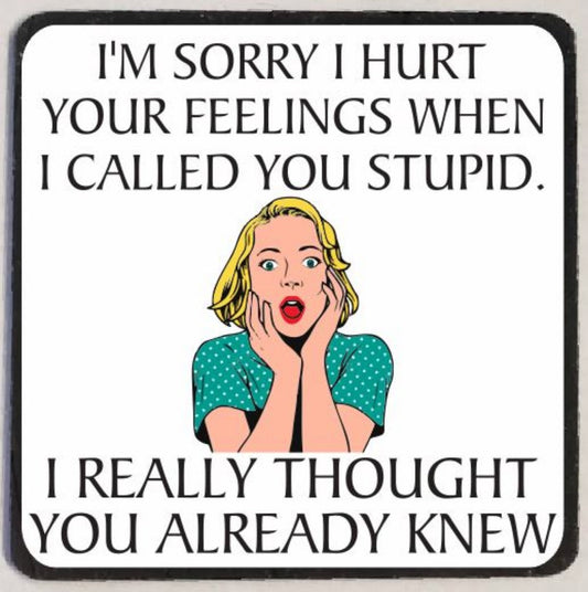 M29 Sorry I Called You Stupid - Iris Fashion Jewelry