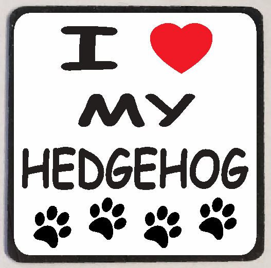 M140 I Love My Hedgehog - Iris Fashion Jewelry
