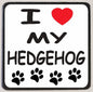 M140 I Love My Hedgehog - Iris Fashion Jewelry